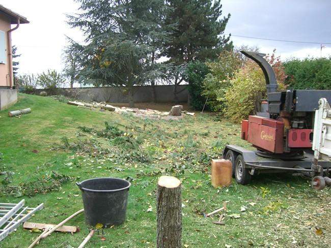 Abattage d'arbres Eguisheim