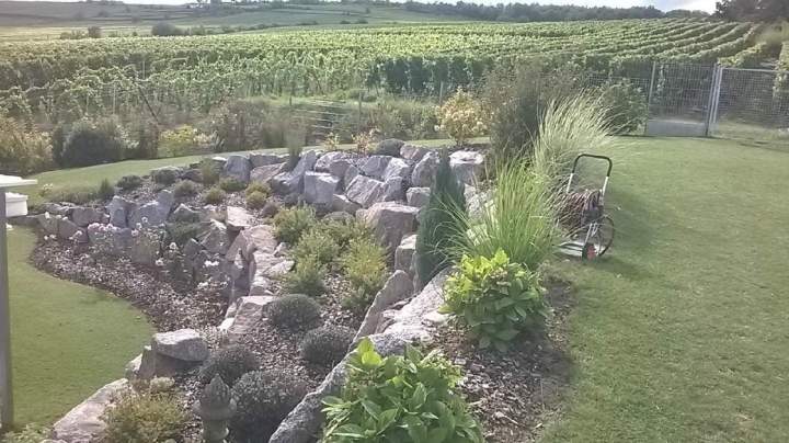 Création jardin Eguisheim