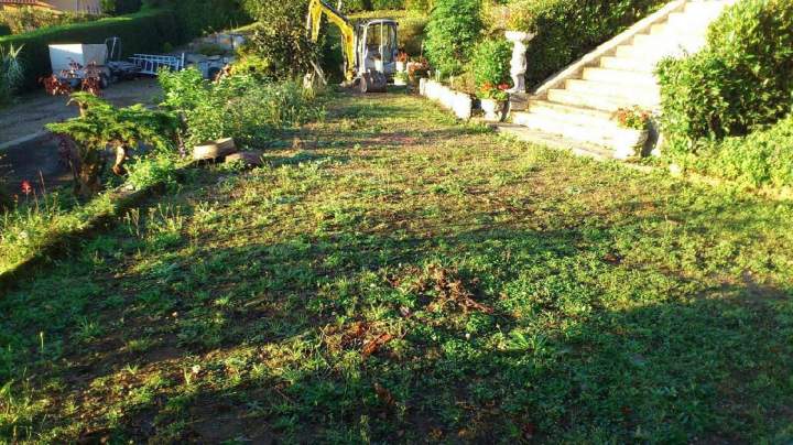 Création jardin Eguisheim