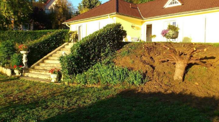 Création jardin Eguisheim