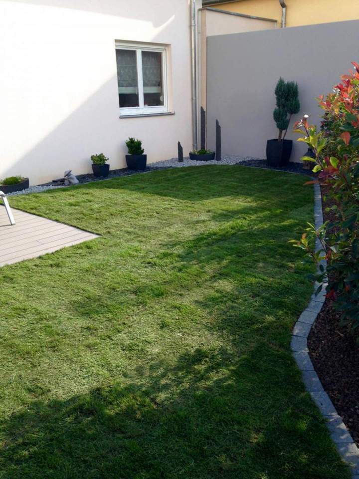 Création pelouse Eguisheim