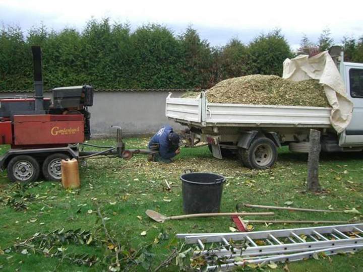 Élagage arbres Eguisheim