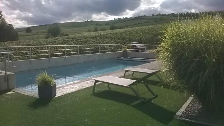 Entretien jardin Eguisheim