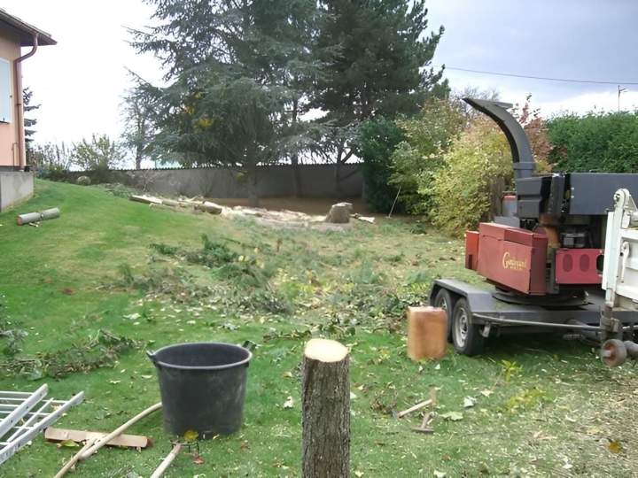 Élagage et abattage d'arbres Eguisheim