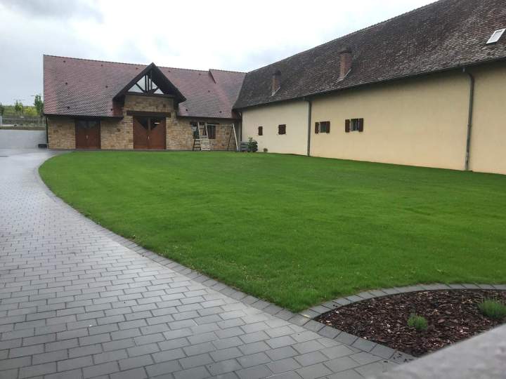 Création pelouse Eguisheim